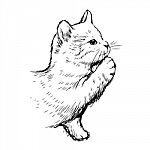 Little Cat Hand Drawn Stock Photo