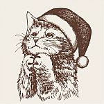 Little Cat, Kitten With Christmas Santa Hat Stock Photo