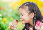 Little Girl With Long Dark Hair Sitting On Poppy Field Stock Photo