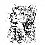 Lovely Kitten Hand Drawn  Stock Photo
