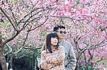 Lovers Stock Photo
