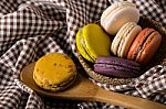 Macaron Or Gerber Stock Photo