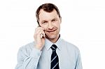 Male Executive Using Is Cell Phone Stock Photo
