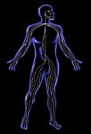 Male Human Anatomy Standing X-ray Style Stock Photo