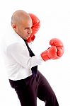 Male Posing In Boxing Gloves Stock Photo