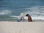 Man With His Best Friend On The Beach Stock Photo