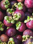 Mangosteen Stock Photo