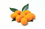 Mayongchid , Mayongchit Marian Plum, Gandaria, Plum Mango Stock Photo