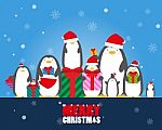 Merry Christmas Penguin Wear Santa Hat Holding Gift Stock Photo