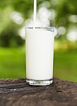 Milk Pouring Into A Glass Stock Photo