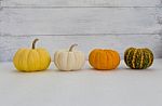 Mini Pumpkin Collection Stock Photo