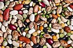 Mixed Colored Beans Stock Photo