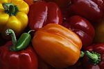 Mixed Peppers Stock Photo