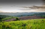 
Mountain Farm Tractors For Planting Crops. And Partially Covere Stock Photo