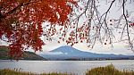 Mt.fuji With Autumn Red Leaves In Kawaguchiko Stock Photo