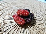 Mulberries On The Wicker Stock Photo