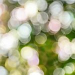 Natural Bokeh Blur. Abstract Nature Background Stock Photo