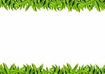 Natural Green Leaf Frame Stock Photo