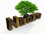 Nature Stock Photo
