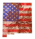 New Mexico State Map Flag Pattern Stock Photo