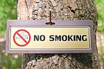 No Smoking In Park  Stock Photo