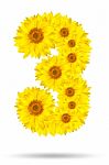 Number 3 Made Of Sunflower Stock Photo
