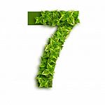 Number 7 With Leaves Stock Photo