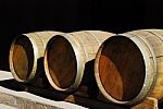 Oak Barrels Stock Photo
