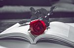 Open Book And A Red Rose. Vintage Tone Stock Photo