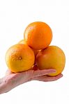 Oranges In Hand Stock Photo