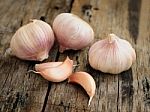 Organic Garlic Stock Photo