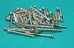Orthopedic  Implant Screw Stock Photo