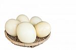 Ostrich Eggs Stock Photo