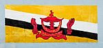 Painting Flag Of  Brunei Darussalam  On Wall Stock Photo