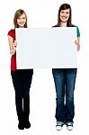 Pair Of Good Looking Women Holding Whiteboard Stock Photo