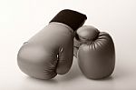 Pair Of Leather Boxing Gloves Stock Photo