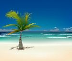 Palm And Tropical Beach Stock Photo