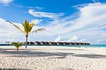 Palm Tree On A Maldives Beach, Watervillas Over The Indian Ocean, Moofushi Atoll Stock Photo