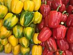 Paprika Background Stock Photo