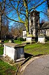 Park In London Spring Sky And Old Dead Tree Stock Photo