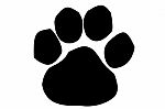 Paw Print Icon On White Stock Photo