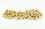 Peanut Stock Photo