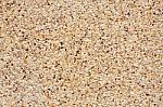 Pebble Dashed Texture Stock Photo