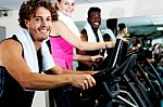 People At  Gym Working Out Happily Stock Photo
