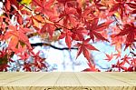 Perspective Wood Counter With Japanese Maple Tree Garden In Autumn, Stock Photo