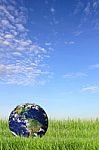 Photo Of Earth In Grass Stock Photo