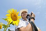 Photographer Man And Sun Flower Stock Photo