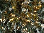 Pine Tree Lights Stock Photo