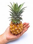 Pineapple On Hand Stock Photo