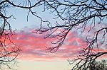 Pink  Sunset Stock Photo